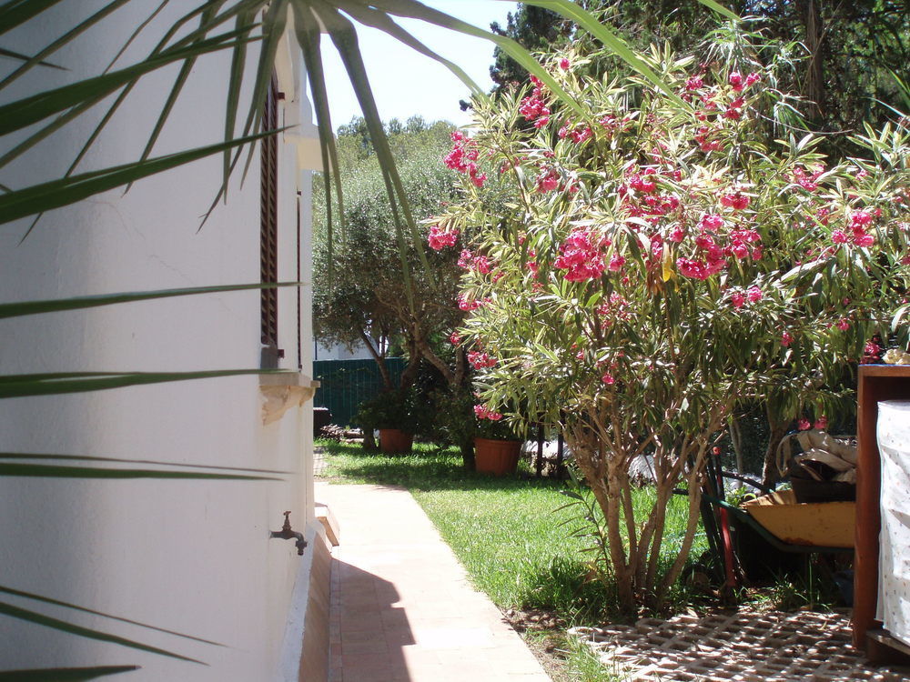Apartamentos Osa Menor Cala D´Or Exterior foto