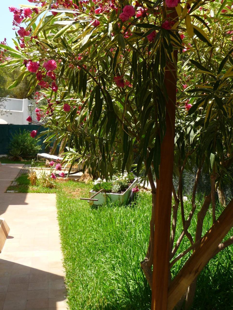 Apartamentos Osa Menor Cala D´Or Exterior foto